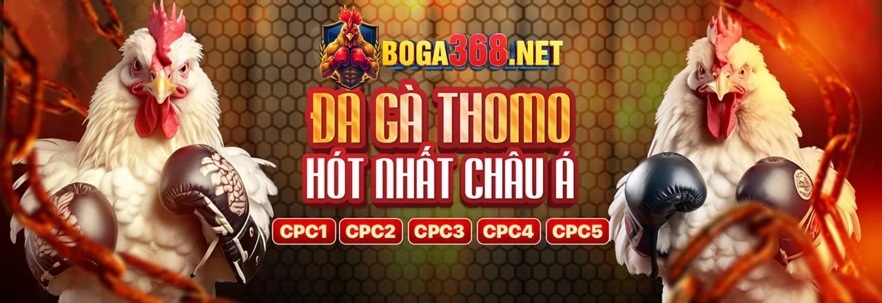 Tải ứng dụng jilibet casino