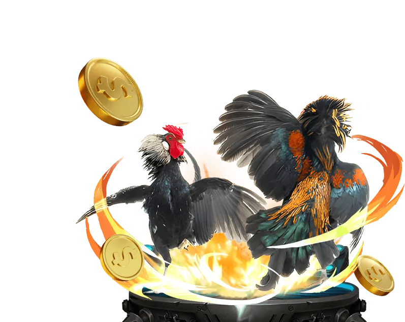 Chơi có trách nhiệm tại JiliBet Casino